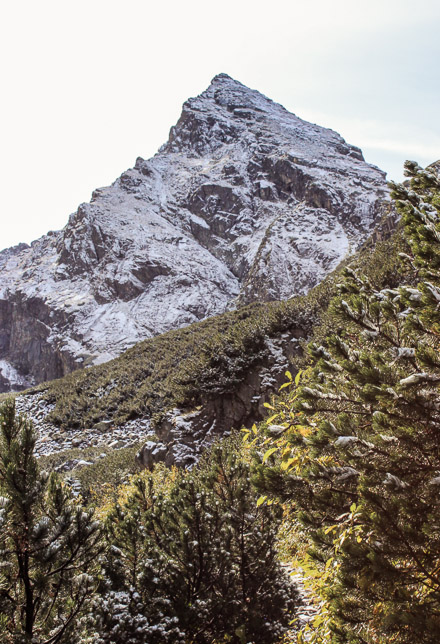 Kościelec widziany ze szlaku na Czarny Staw Gąsienicowy