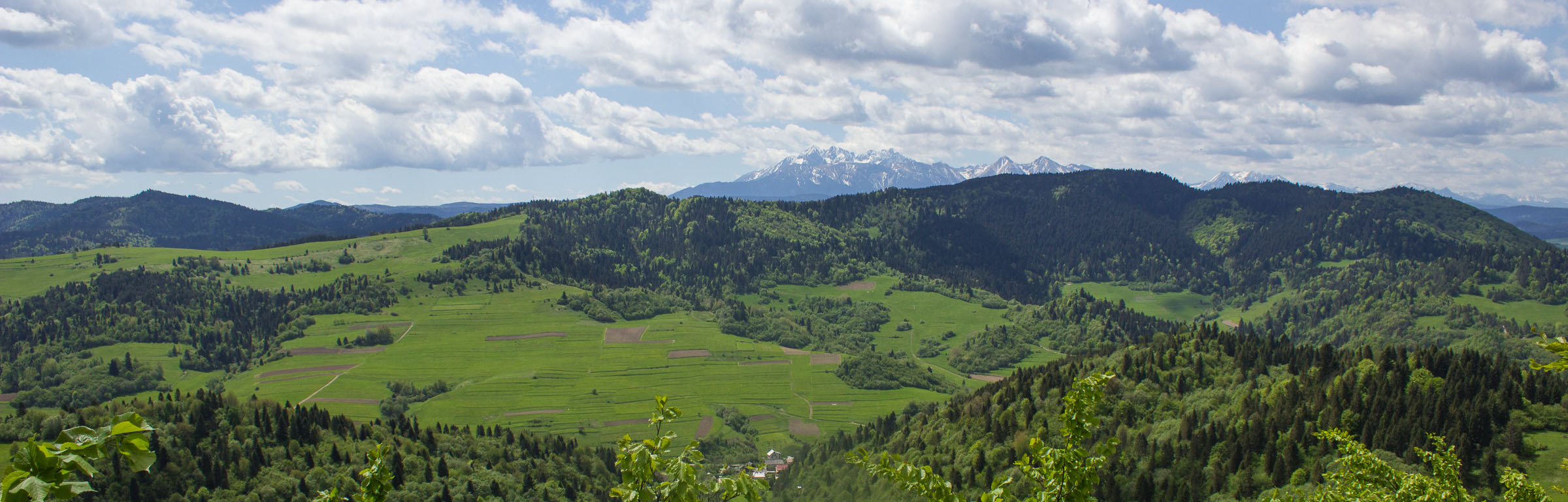 Widok z Łaźnych Skał na południowy zachód