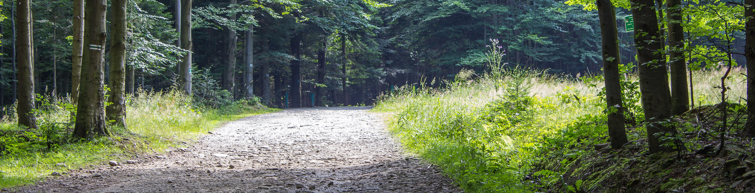 Początek szlaku w Markowej
