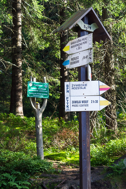 Drogowskaz na Markowych Szczawinach