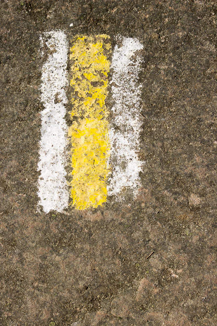 Znakowanie na Akademickiej Perci