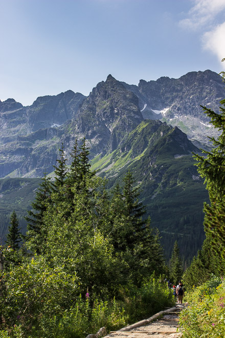 Kościelec widziany z Hali Gąsienicowej