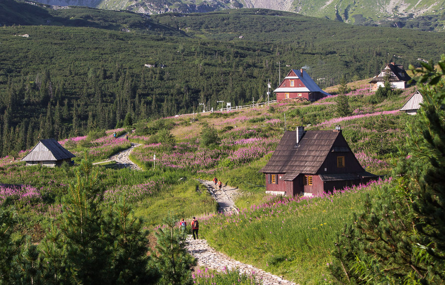Wejście na Halę Gąsienicową